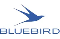 Bluebird